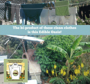 laundry to landscape